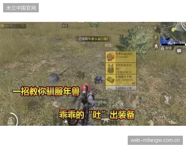 道曼低射远角：从战场到现代战略的“神秘武器”